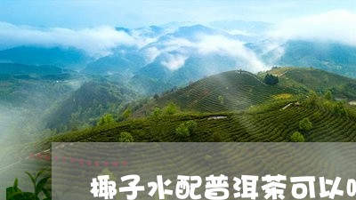 椰子水配普洱茶可以喝吗/2023082745057