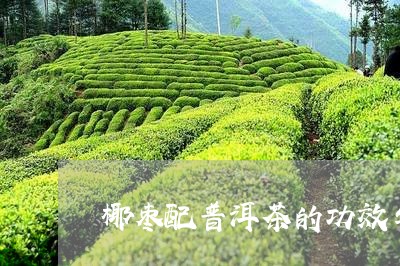 椰枣配普洱茶的功效与禁忌/2023112503726