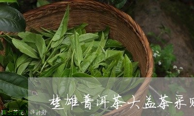 楚雄普洱茶大益茶采购/2023080362713