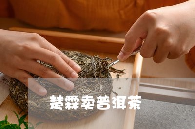 楚霖卖普洱茶/2023090619491