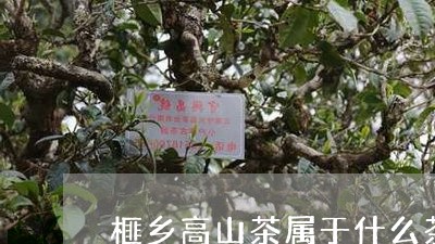 榧乡高山茶属于什么茶/2023071430205