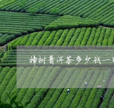 樟树普洱茶多少钱一斤/2023061461715