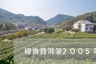 樟香普洱茶2005年/2023100849604