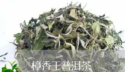 樟香王普洱茶/2023042577378