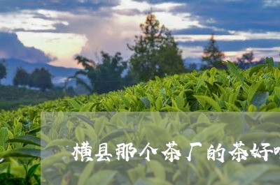 横县那个茶厂的茶好喝/2023060931515