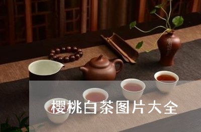 樱桃白茶图片大全/2023062104179