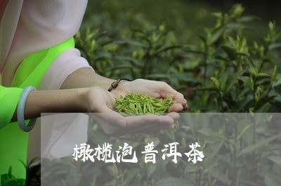 橄榄泡普洱茶/2023042754775