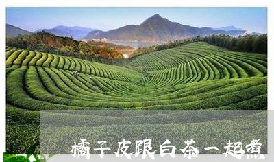 橘子皮跟白茶一起煮/2023111729571