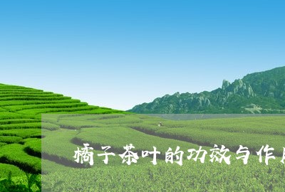 橘子茶叶的功效与作用/2023071656270