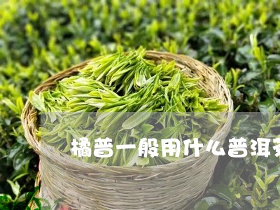 橘普一般用什么普洱茶/2023072108375