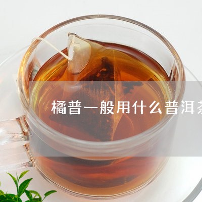 橘普一般用什么普洱茶/2023092644959