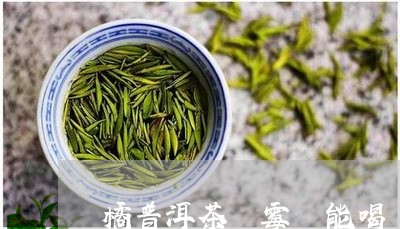 橘普洱茶發霉還能喝嗎/2023072113956