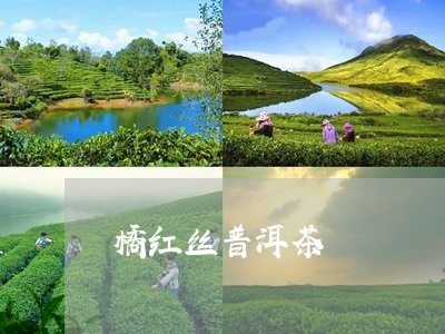 橘红丝普洱茶/2023042655703