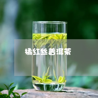 橘红丝普洱茶/2023091254161