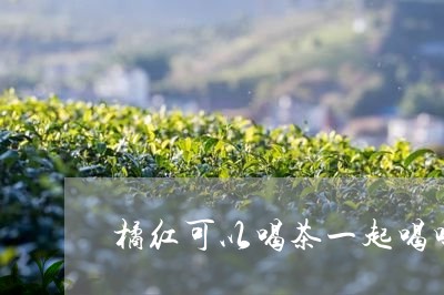 橘红可以喝茶一起喝吗/2023092114948