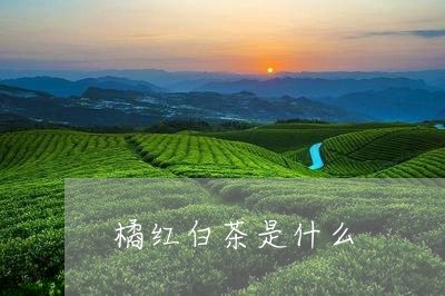 橘红白茶是什么/2023060229390