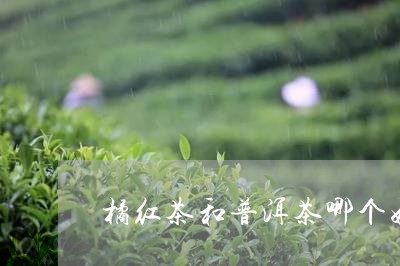 橘红茶和普洱茶哪个好喝/2023082770503