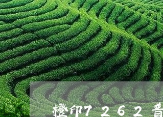 橙印7262普洱茶/2023070850572