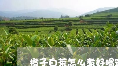 橙子白茶怎么煮好喝窍门/2023082618373