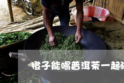 橙子能喝普洱茶一起泡茶吗/2023051132817