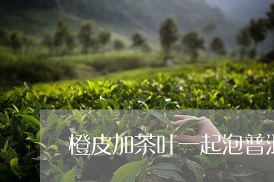 橙皮加茶叶一起泡普洱千年老妖/2023053156138