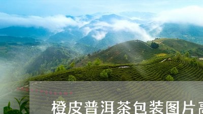 橙皮普洱茶包装图片高清/2023110372692