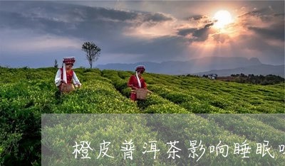 橙皮普洱茶影响睡眠吗/2023073196370