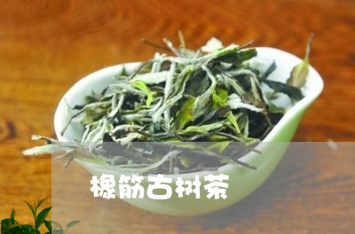 橡筋古树茶/2023041744284