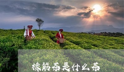 橡筋茶是什么茶/2023042978764