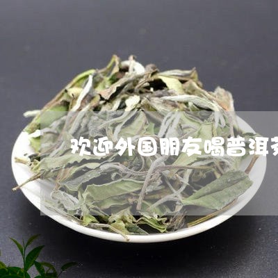 欢迎外国朋友喝普洱茶/2023120745947