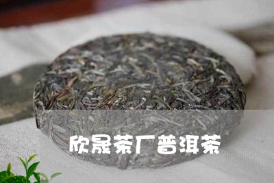 欣晟茶厂普洱茶/2023120332406