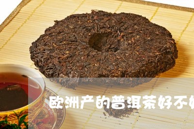 欧洲产的普洱茶好不好/2023092765069