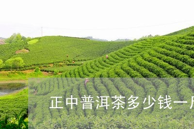 正中普洱茶多少钱一斤/2023092573705