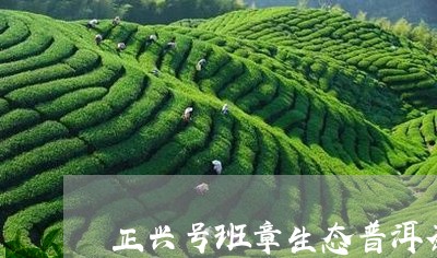 正兴号班章生态普洱茶/2023062965939