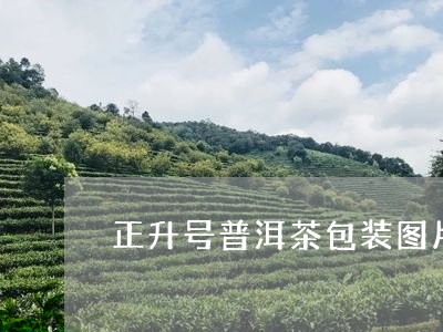 正升号普洱茶包装图片/2023100805069