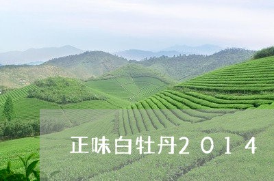 正味白牡丹2014/2023120521827