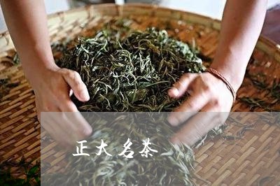 正大名茶/2023090180315