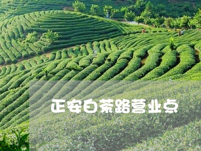 正安白茶路营业点/2023062144046