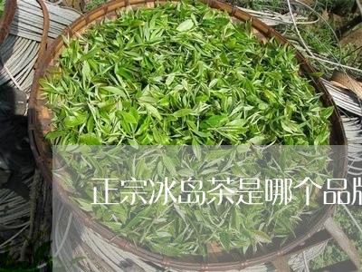 正宗冰岛茶是哪个品牌的茶叶呀/2023053167369