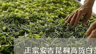 正宗安吉昆桐高货白茶/2023100273957