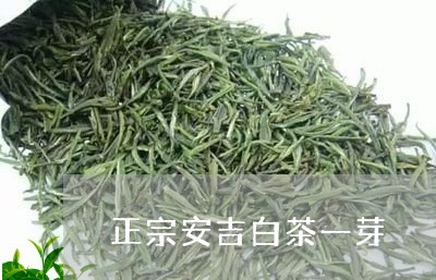 正宗安吉白茶一芽/2023062126058