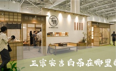 正宗安吉白茶在哪里提供/2023102696048