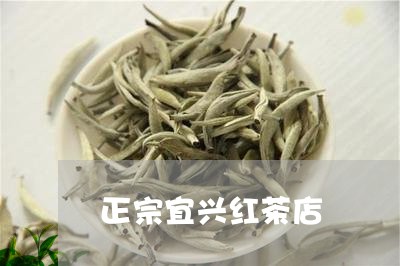 正宗宜兴红茶店/2023042941138