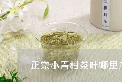 正宗小青柑茶叶哪里产/2023061250727