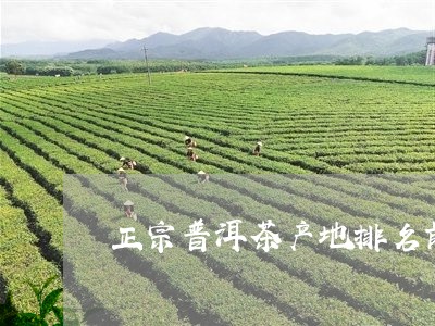 正宗普洱茶产地排名前十/2023050604045