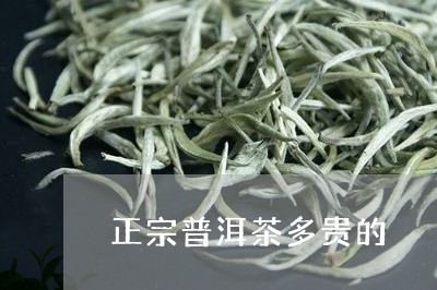 正宗普洱茶多贵的/2023082892737