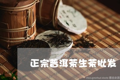 正宗普洱茶生茶批发/2023070949782