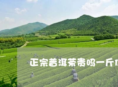 正宗普洱茶贵吗一斤价格/2023082746169