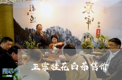 正宗桂花白茶售价/2023082667371