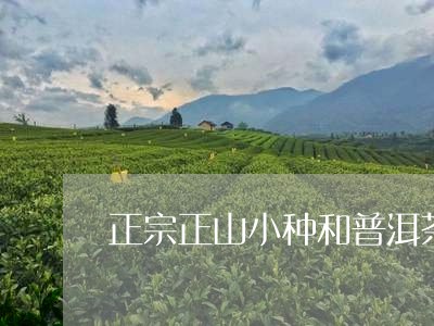 正宗正山小种和普洱茶/2023062200492